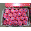 /msite/products/detail/productid/54855466/id/542998.html